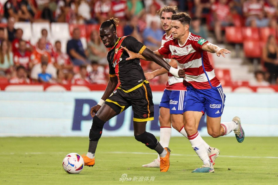 案例分析 案例分析